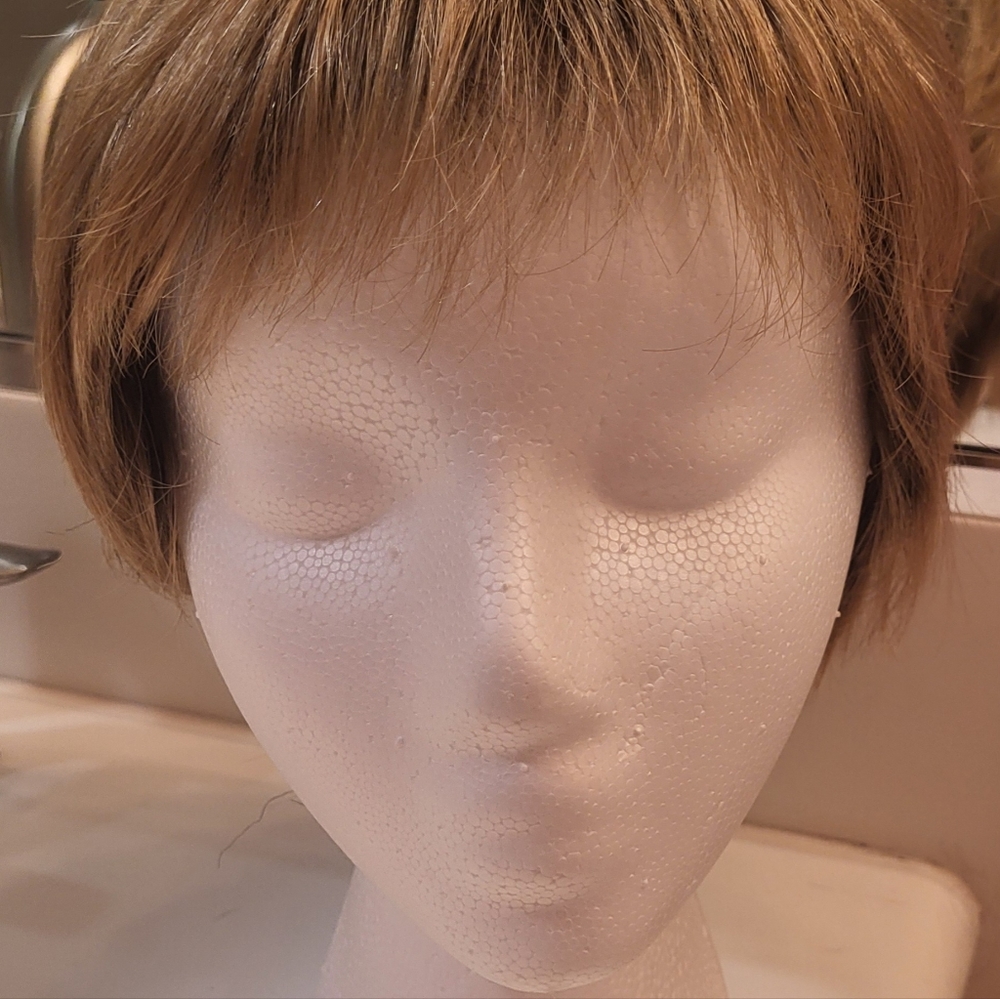 Paula Young Layered Wig
